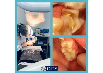 Odontologia CIPS 2022